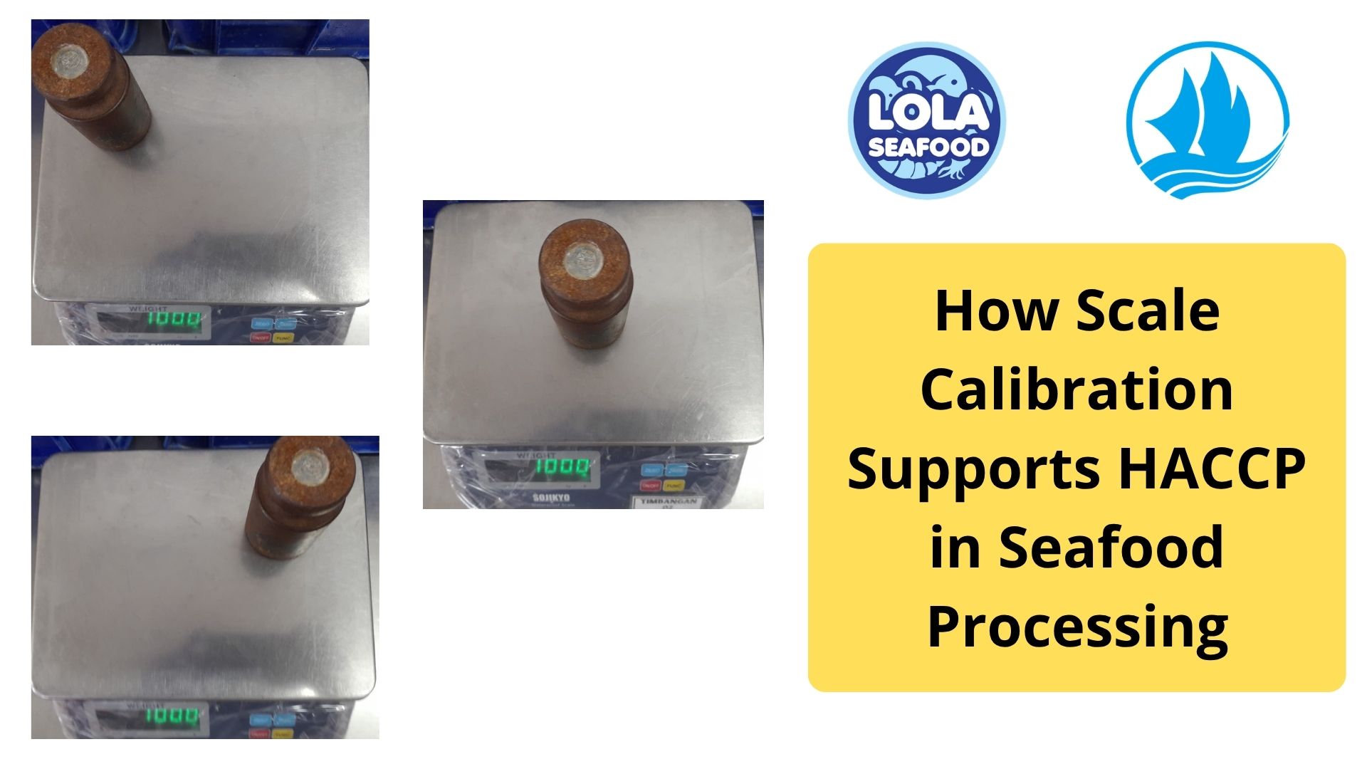  How Scale Calibration Supports HACCP in Seafood Processing